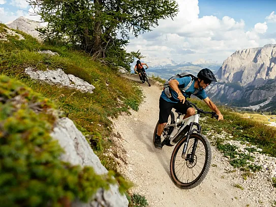 Trek ofrece diferente tamaño de rueda dependiendo del tamaño del cuadro que necesites.