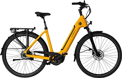 AEB PRO (desde 3.459€) - Portaequipajes modular y soporte delantero opcional. Tapa de batería en el color del cuadro. Batería de hasta 875Wh.