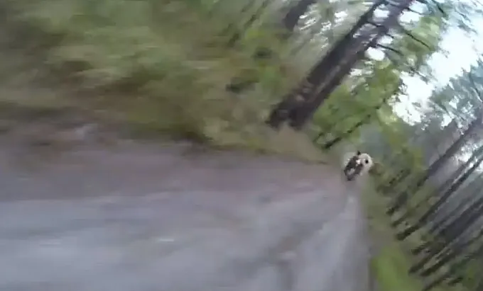 El vídeo del ciclista perseguido por un oso