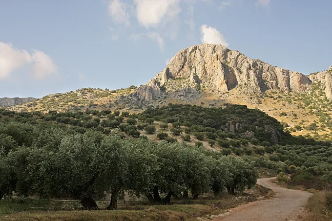 Caminos de Pasión: la ruta cicloturista que recorre el interior de Andalucía