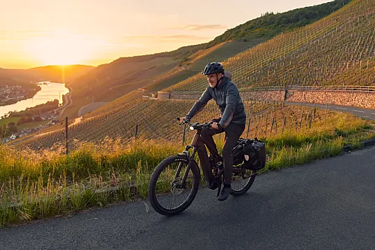 Equipamiento extraordinario y lógico, para una bicicleta de gama alta de Giant.