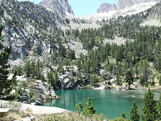 Excursiones muy cerquita del SNÖ Edelweiss.