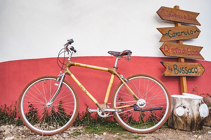 Bicicletas de bambú... ¿Por qué no?