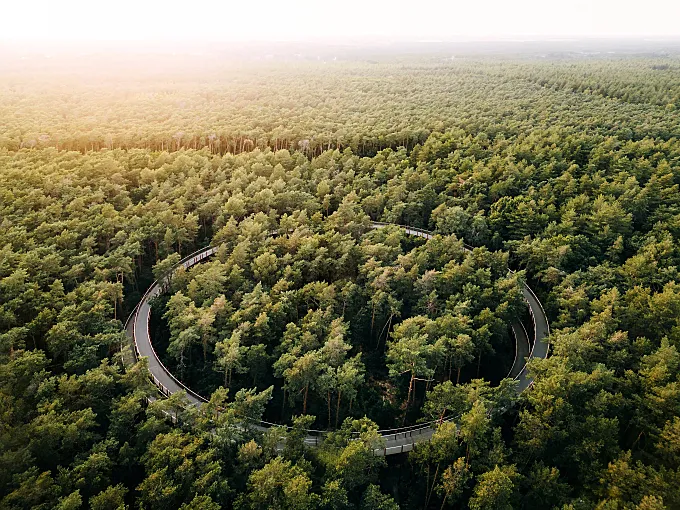 Pedaleando entre árboles en el Parque Nacional de Bosland, Bélgica