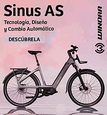 COMET WINORA SINUS (2 MAYO)