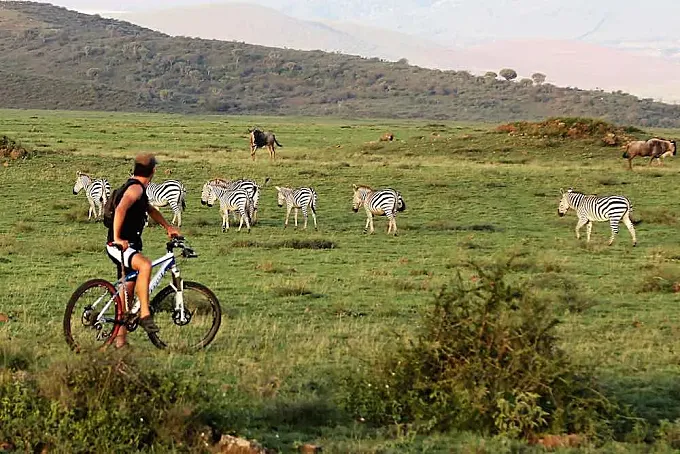 Planes para un verano ciclista: safari en bici por Ngorongoro