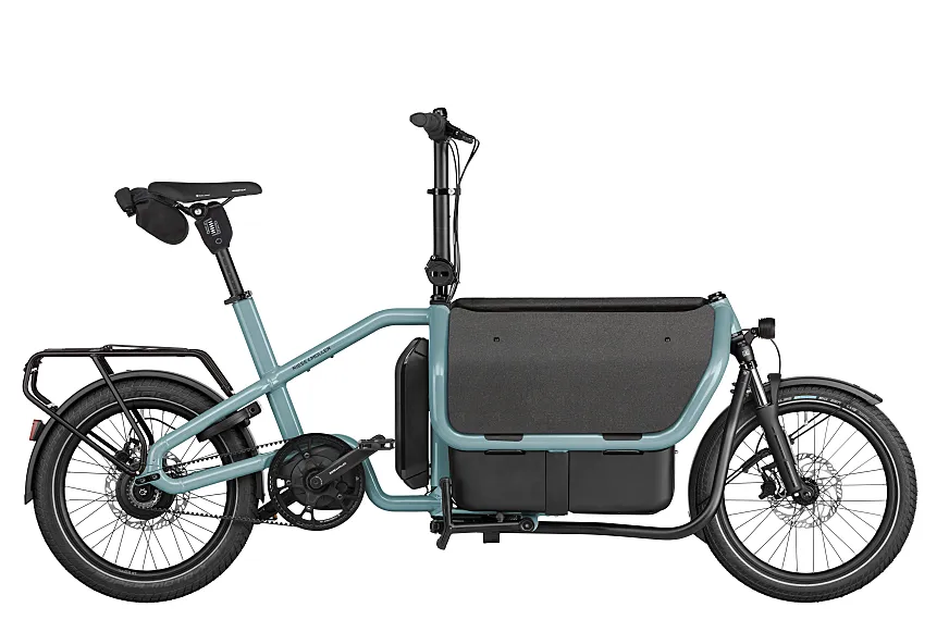 Riese & Müller Carrie2 Vario.