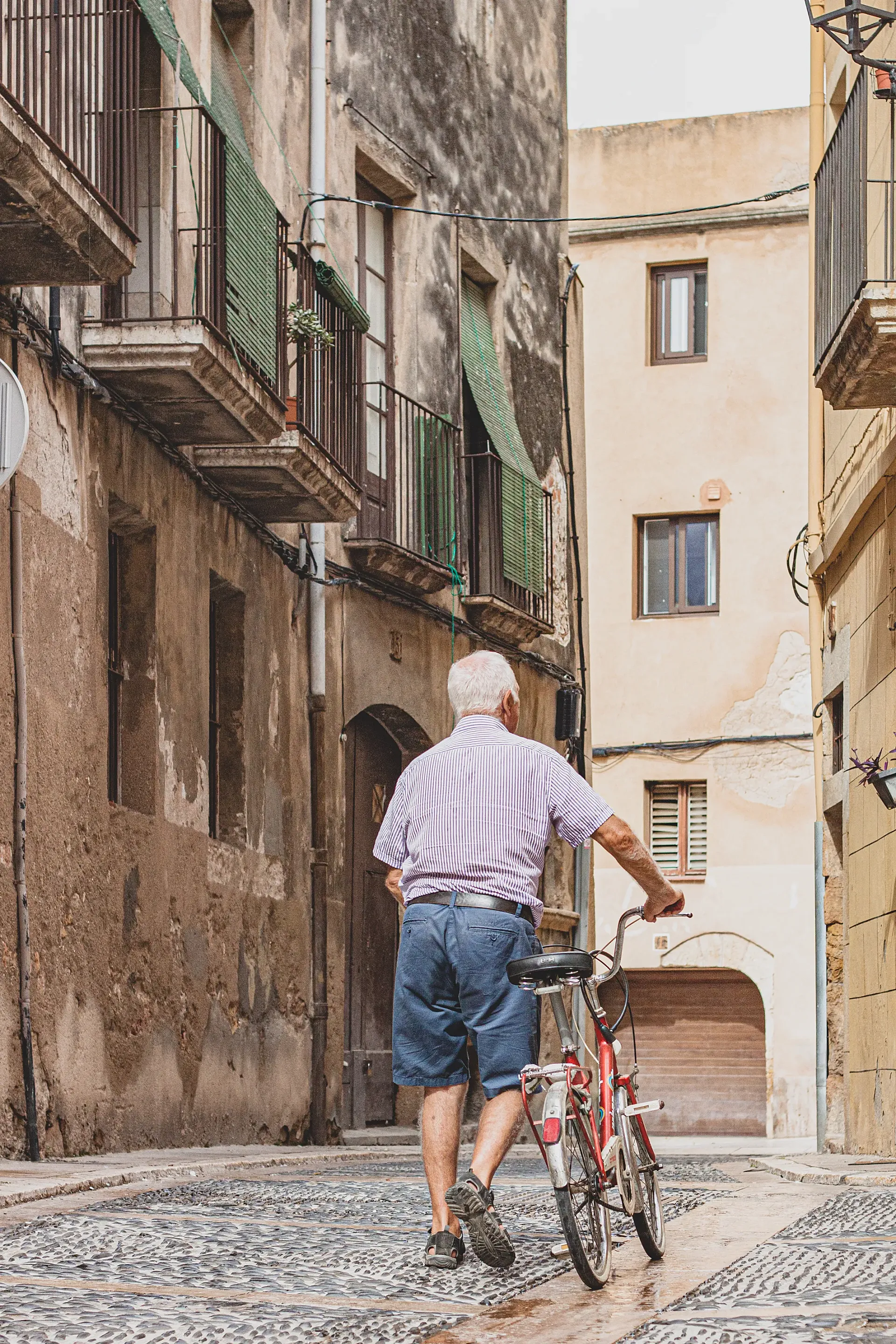 "El ciclo de la vida" (Pol Baró): mejor fotografía 'Veteranos en bici'.