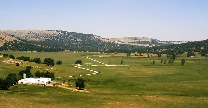 Primavera en Nava de Cabra.