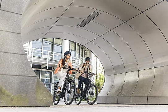 Modelos urbanos, de montaña, carretera o gravel categorizados por marca y modalidad.