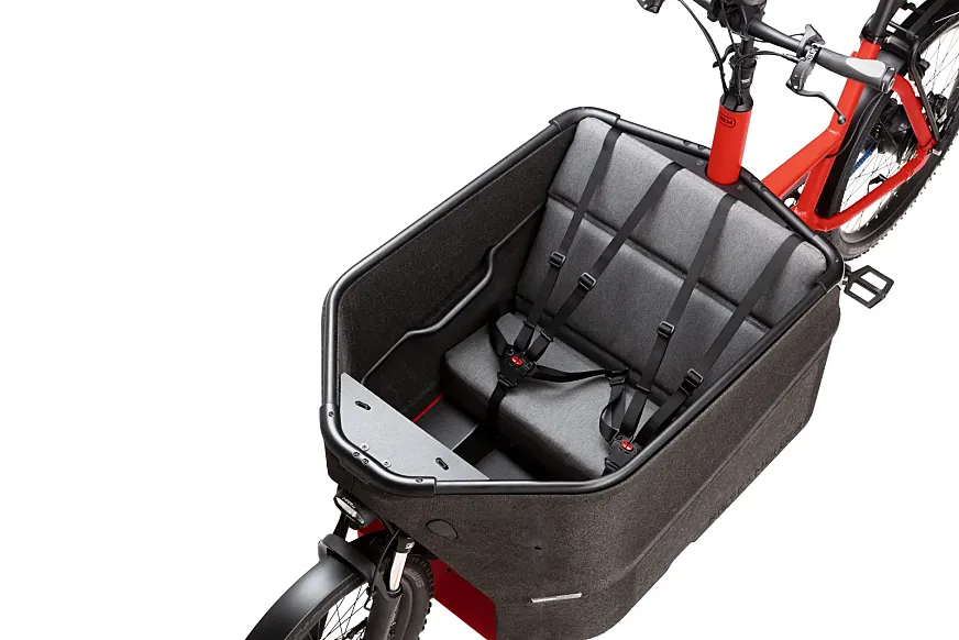 Riese & Müller Packster 70