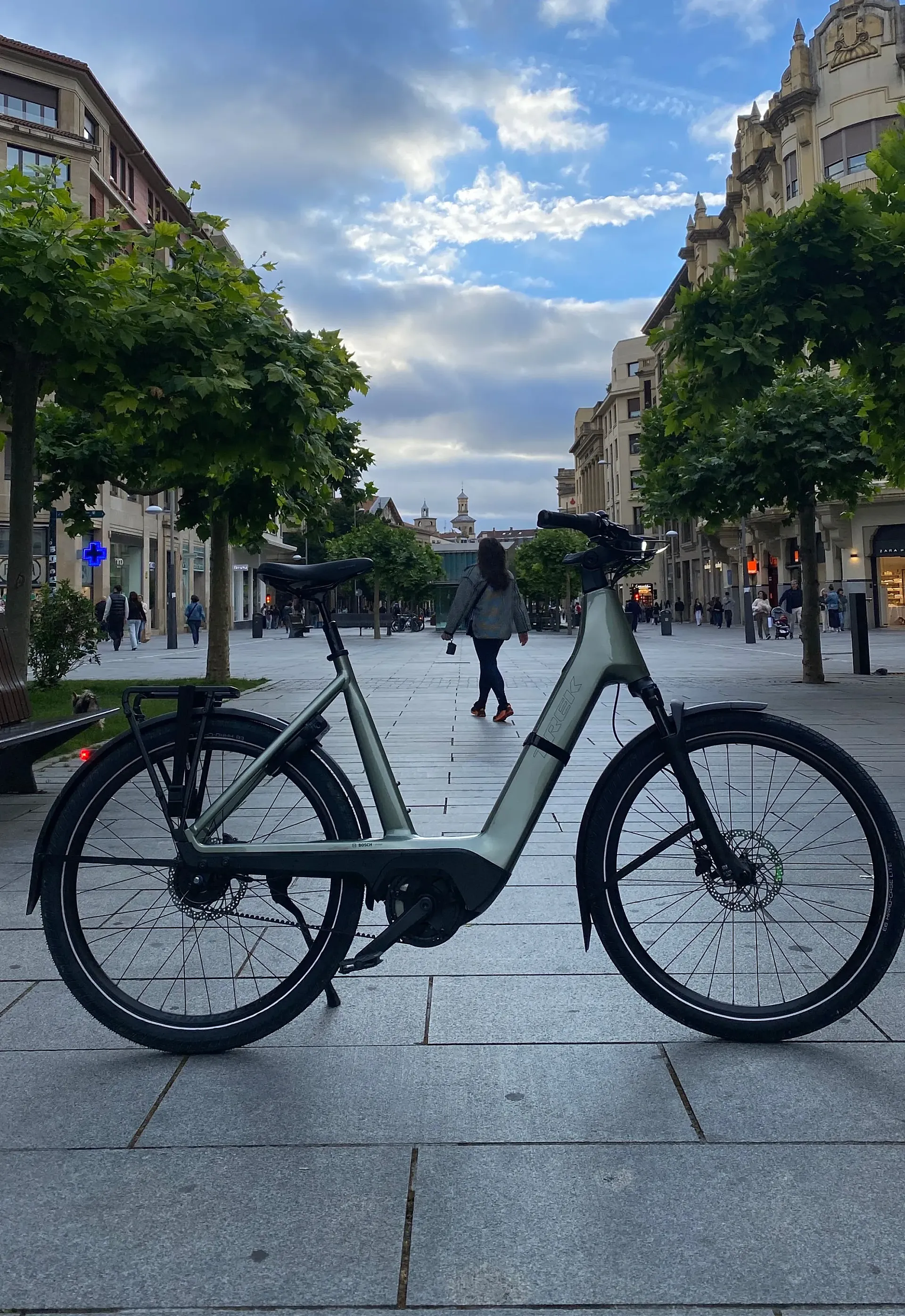 Trek Charter+ 4 Nexus 5 Belt 540 Wh Lowstep.