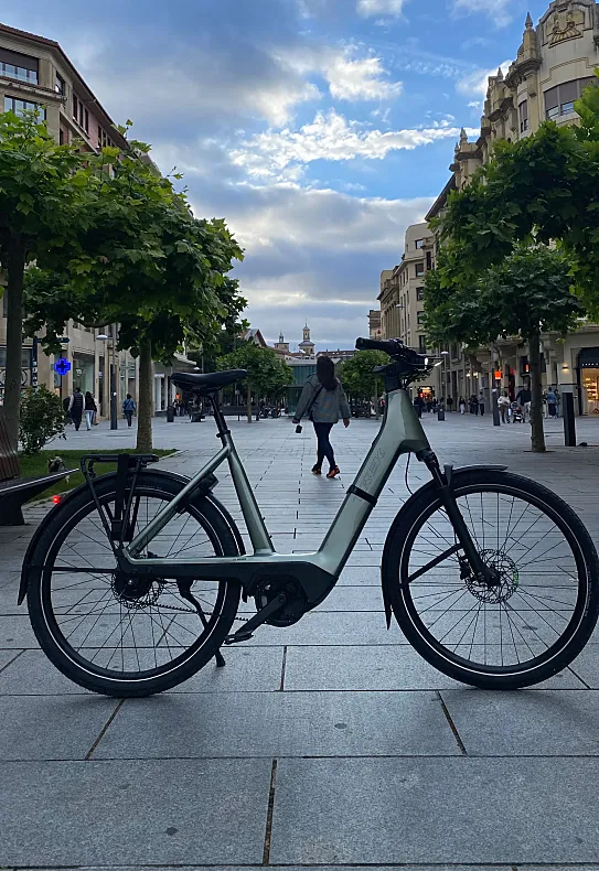 Trek Charter+ 4 Nexus 5 Belt 540 Wh Lowstep.