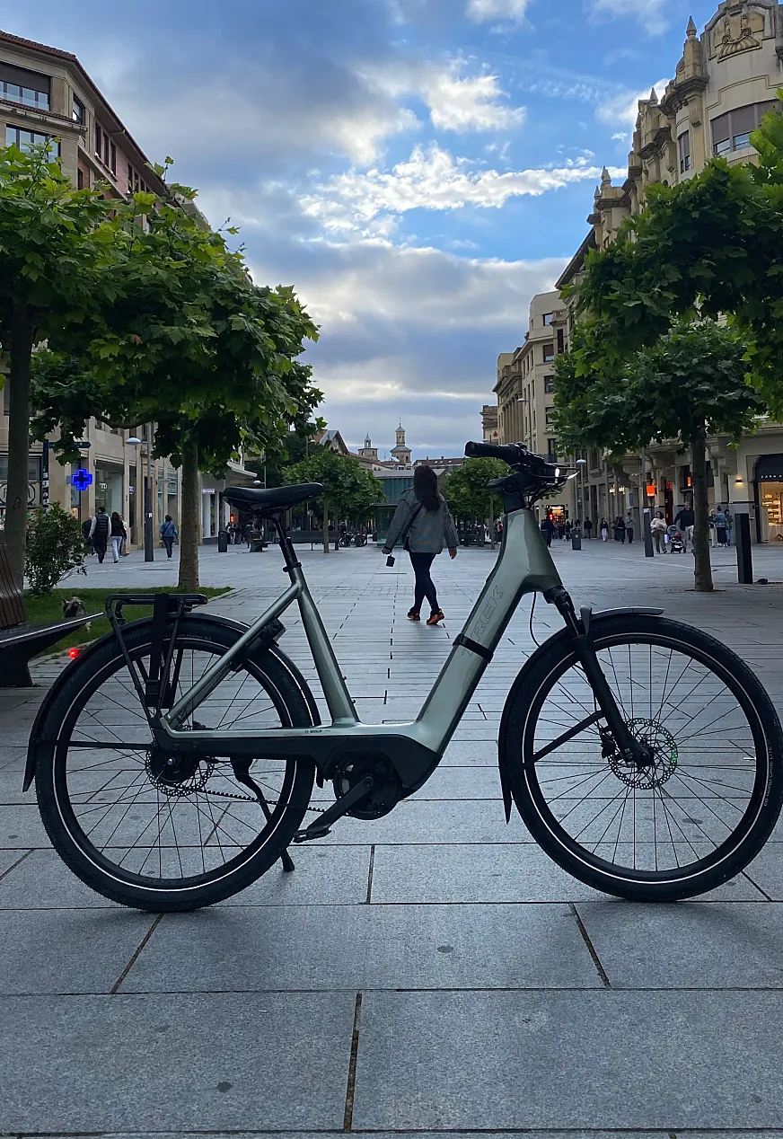Trek Charter+ 4 Nexus 5 Belt 540 Wh Lowstep.