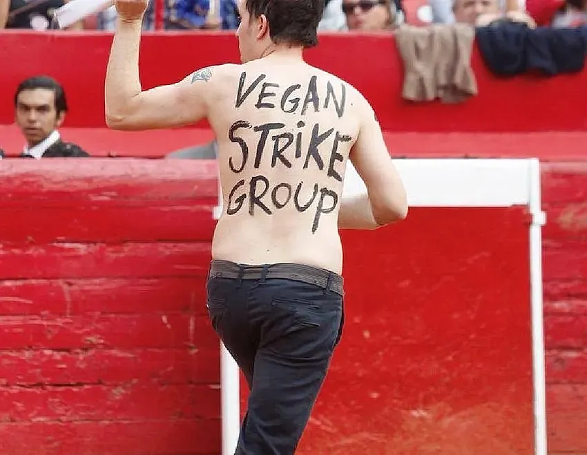 Uno de los saltos al ruedo de Vegan Strike Group.