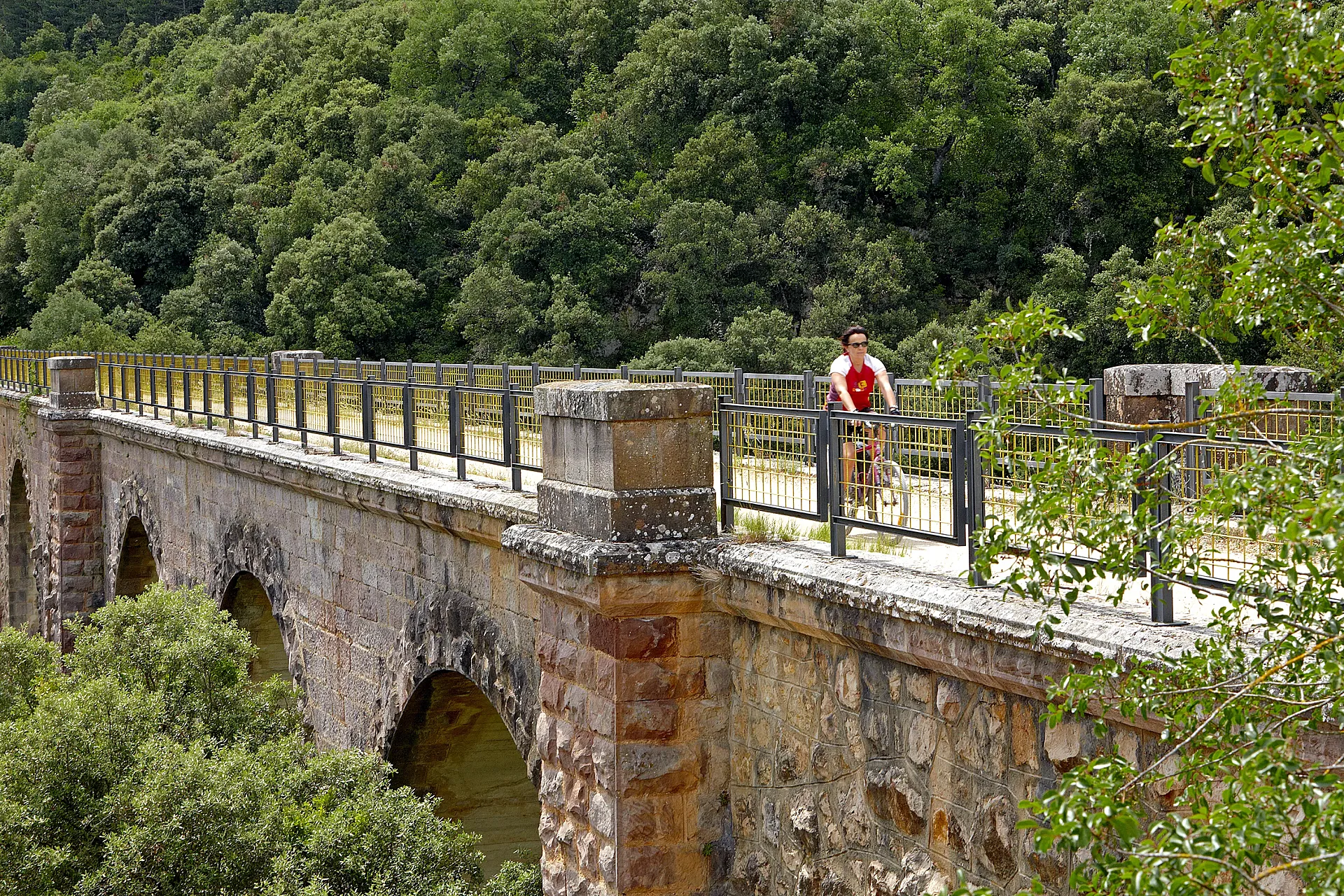 Camino Natural Vía Verde del Ferrocarril Vasco Navarro (foto: Javier Campos)