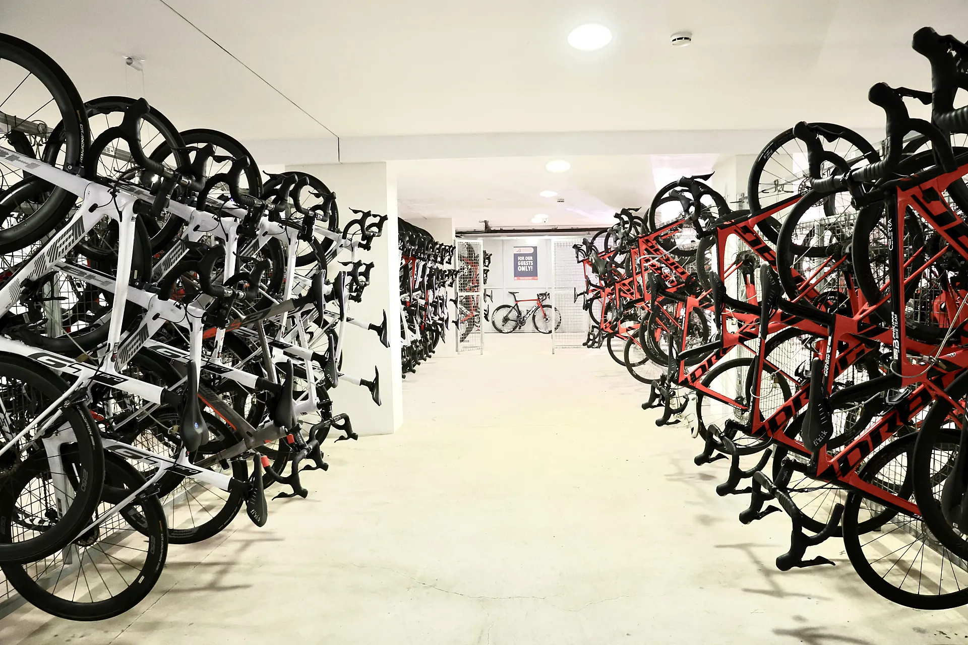 JS Alcudi Mar, Mallorca.