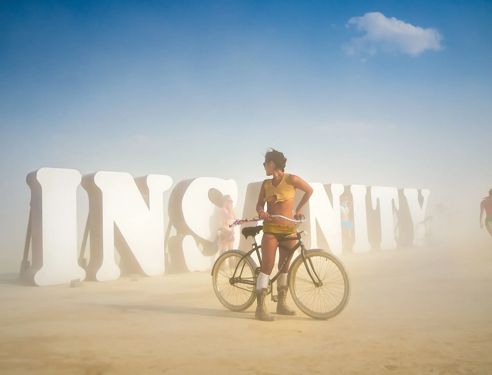 'Insanity': hay todo tipo de mensajes en Burning Man (foto: Curtis Simmons)
