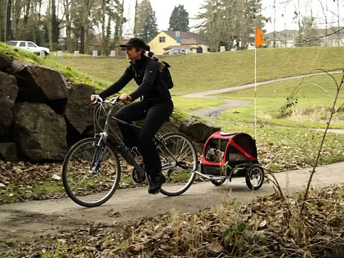 DoggyRide Mini: perros ciclistas, perros felices