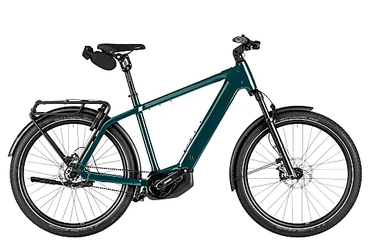 Riese & Müller Charger5 Pinion.